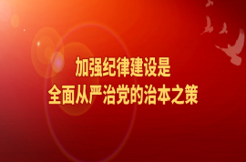 學(xué)習(xí)貫徹《中國共產(chǎn)黨紀律處分條例》（二）