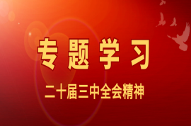 科瑞黨建｜習近平在省部級主要領(lǐng)導(dǎo)干部學習貫徹黨的二十屆三中全會精神專題研討班開班式上發(fā)表重要講話